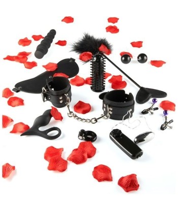 TOYJOY - AMAZING PLEASURE KIT DE JUGUETES