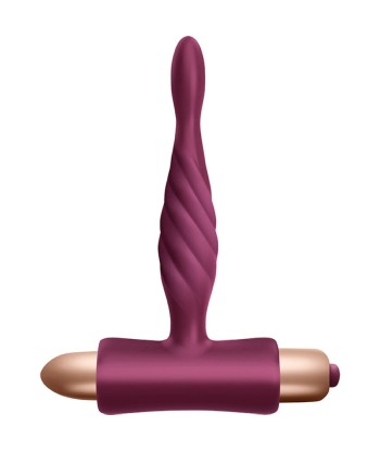 CLIMAXIMUM - RAPTURE KIT VIBRADOR CLÁSICO PLUG ANAL PRINCIPIANTES