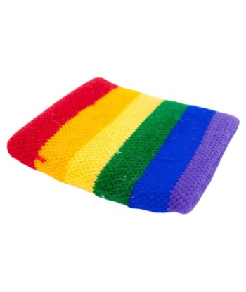 PRIDE - MUÑEQUERA BANDERA LGBT