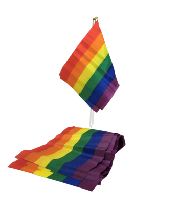 PRIDE - BANDERIN PEQUEÑO BANDERA LGBT