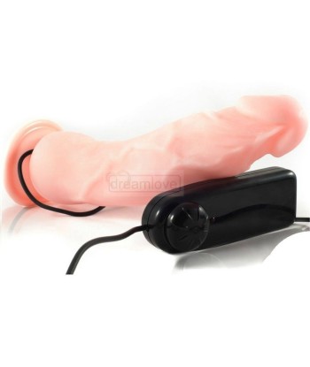 BAILE - PENE REALÍSTICO LOVE CLONE 22.3 CM