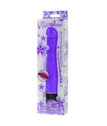 BAILE - VIBRATOR MULTISPEED 21.5 CM MORADO