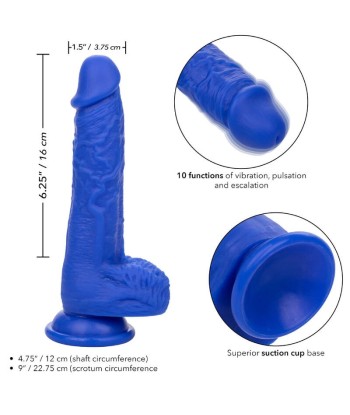 CALEXOTICS - ADMIRAL SAILOR DILDO REALÍSTICO VIBRADOR AZUL CALEXOTICS - ADMIRAL SAILOR DILDO REALÍSTICO VIBRADOR AZUL