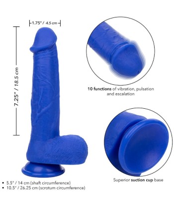 CALEXOTICS - ADMIRAL CAPTAIN DILDO REALÍSTICO VIBRADOR AZUL CALEXOTICS - ADMIRAL CAPTAIN DILDO REALÍSTICO VIBRADOR AZUL