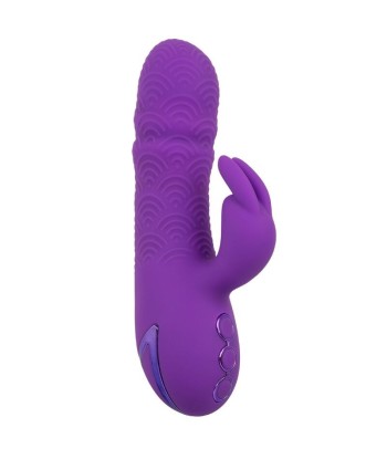 CALEXOTICS - MANHATTAN BEACH MARVEL VIBRADOR RABBIT MORADO BY CALIFORNIA DREAMING CALEXOTICS - MANHATTAN BEACH MARVEL VIBRADOR RABBIT MORADO BY CALIFORNIA DREAMING