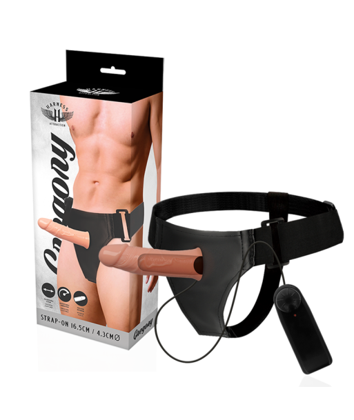 HARNESS ATTRACTION - ARNÉS HUECO GREGORY CON VIBRADOR 16.5 CM -O- 4.3 CM HARNESS ATTRACTION - ARNÉS HUECO GREGORY CON VIBRADOR 16.5 CM -O- 4.3 CM