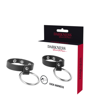 DARKNESS - ANILLO DE METAL PARA EL PENE Y TESTÍCULOS