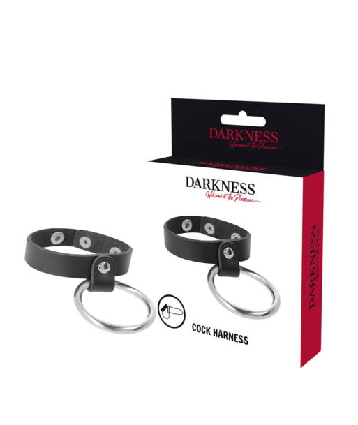 DARKNESS - ANILLO DE METAL PARA EL PENE Y TESTÍCULOS DARKNESS - ANILLO DE METAL PARA EL PENE Y TESTÍCULOS