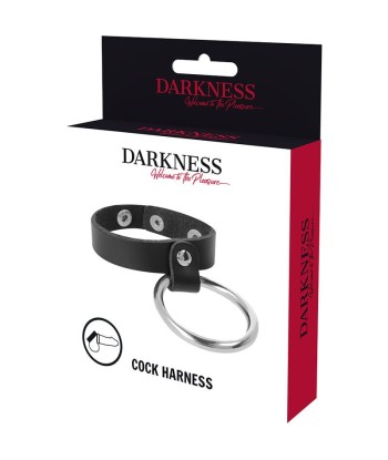 DARKNESS - ANILLO DE METAL PARA EL PENE Y TESTÍCULOS