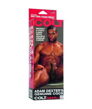 CALEXOTICS - COLT PENE REALÍSTICO ADAM DEXTER