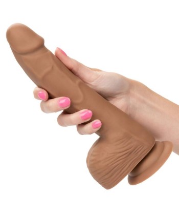 CALEXOTICS - SILICONE STUDS 20.32 CM BROWN