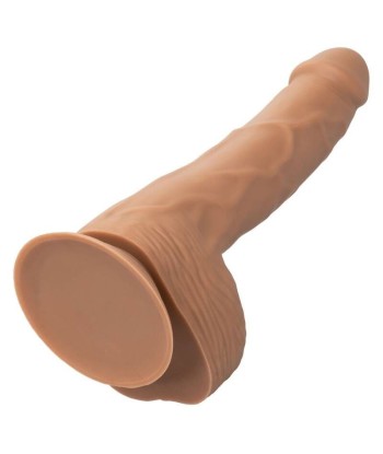 CALEXOTICS - SILICONE STUDS 20.32 CM BROWN