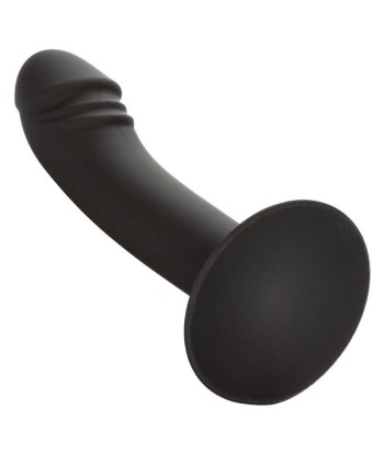 CALEXOTICS - CURVED ANAL STUD