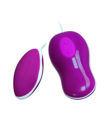 PRETTY LOVE - FLIRTATION HUEVO VIBRADOR CON CONTROL REMOTO AVERY