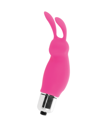 INTENSE - RABBIT ROGER ROSA