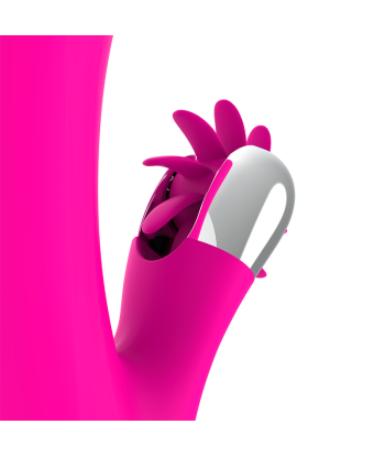DIVERSIA - BUNNY VIBRATING 24 CM