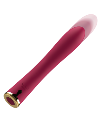 CICI BEAUTY - VIBRADOR PREMIUM SILICONE UP and DOWN