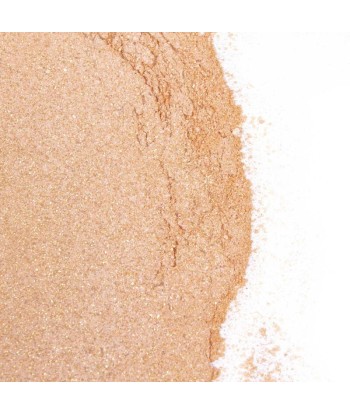 SECRETPLAY - GOLDEN LIGHT KIT POLVOS COMESTIBLES Y PLUMA CHOCOLATE AFRODISIACO