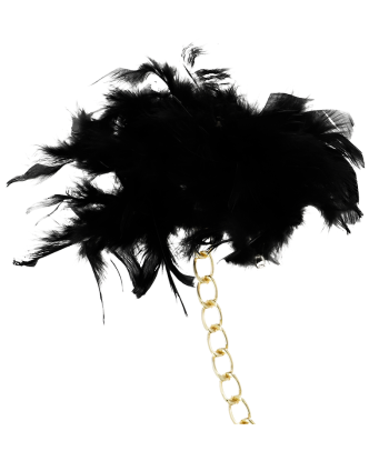 COQUETTE CHIC DESIRE - ESPOSAS DELUXE