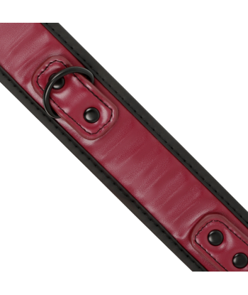 FETISH SUBMISSIVE DARK ROOM - COLLAR CON CADENA CON FORRO DE NEOPRENO