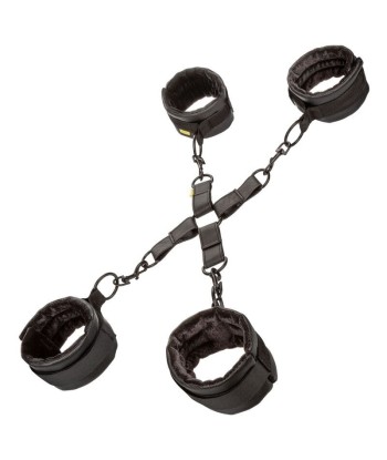 CALEXOTICS - BOUNDLESS HOG TIE