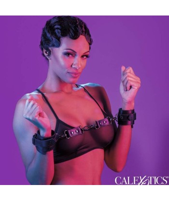 CALEXOTICS - EUPHORIA ESPOSAS
