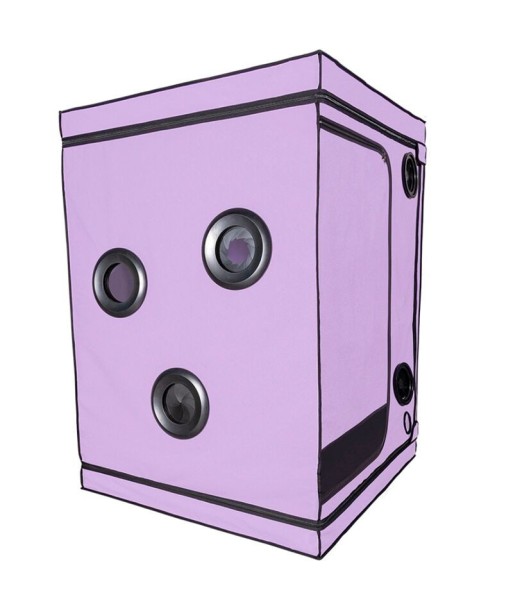 SECRET DOME - KINK CLUB CABINA SCANDALE MORADO