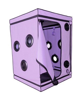 SECRET DOME - KINK CLUB CABINA SCANDALE MORADO