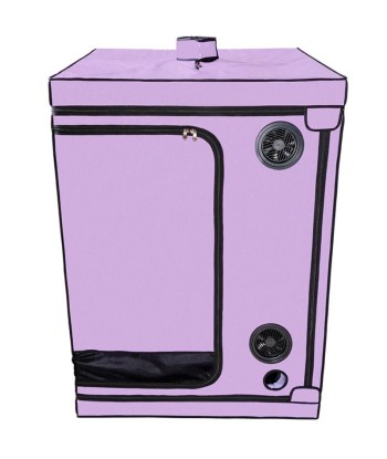 SECRET DOME - KINK CLUB CABINA SCANDALE MORADO