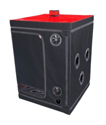 SECRET DOME - KINK CLUB CABINA SCANDALE NEGRO and ROJO