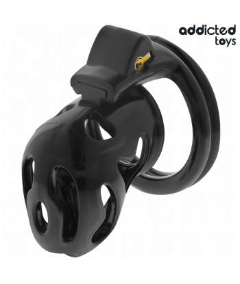 ADDICTED TOYS LOCKED - SEALED CRYPT JAULA PARA PENE 8 CM