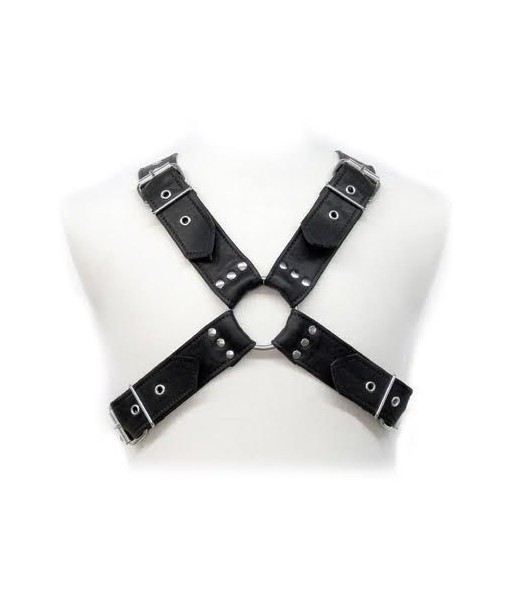 LEATHER BODY - BUCKLES HARNESS