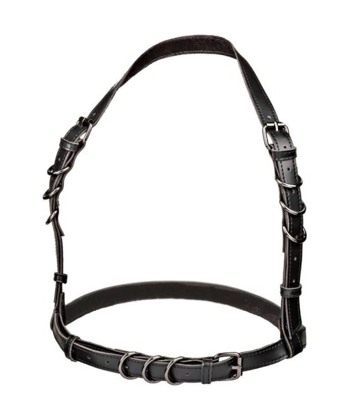 CALEXOTICS - EUPHORIA ARNÉS HATLER CON HEBILLA TALLA GRANDE NEGRO