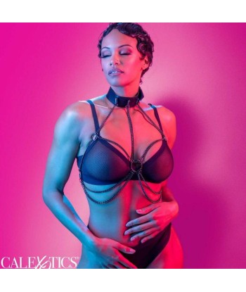 CALEXOTICS - EUPHORIA ARNÉS DE CUELLO DE CADENA