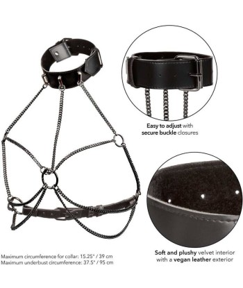 CALEXOTICS - EUPHORIA ARNÉS DE CUELLO DE CADENA