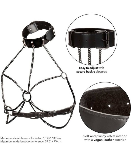 CALEXOTICS - EUPHORIA ARNÉS DE CUELLO DE CADENA