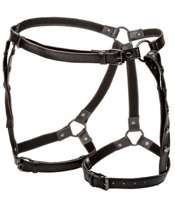 CALEXOTICS - EUPHORIA ARNÉS DE MUSLO EQUITACIÓN TALLA GRANDE