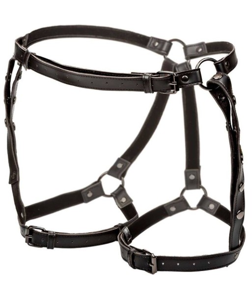 CALEXOTICS - EUPHORIA ARNÉS DE MUSLO EQUITACIÓN TALLA GRANDE
