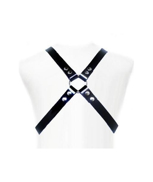 LEATHER BODY - BASIC HARNESS LEATHER BODY - BASIC HARNESS