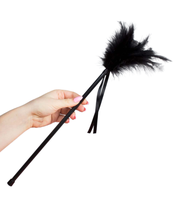 SECRETPLAY - PLUMERO PLUMAS NEGRO 40 CM