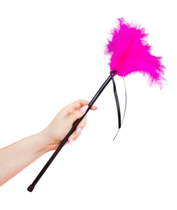 SECRETPLAY - PLUMERO PLUMAS ROSA 40 CM