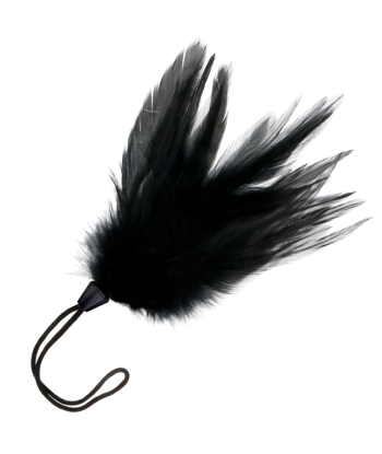 DARKNESS - PLUMA ESTIMULADORA NEGRO 17 CM