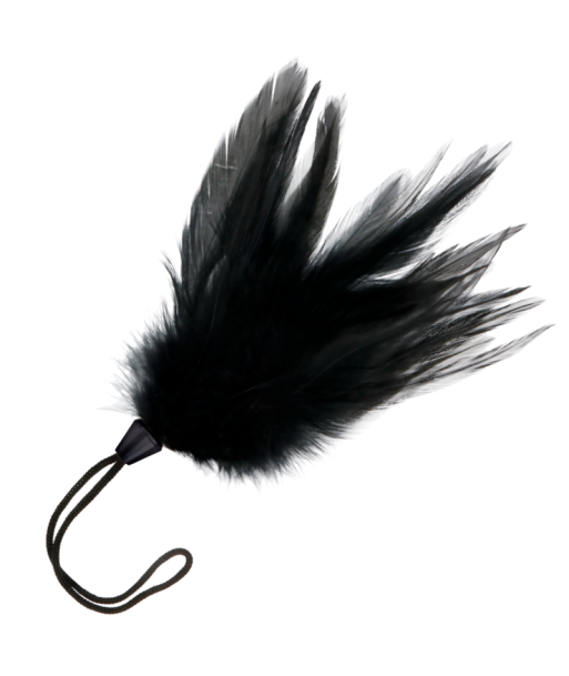 DARKNESS - PLUMA ESTIMULADORA NEGRO 17 CM DARKNESS - PLUMA ESTIMULADORA NEGRO 17 CM