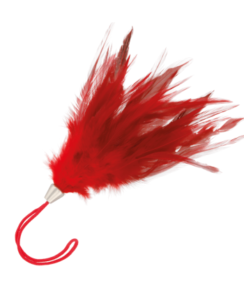 DARKNESS - PLUMA ESTIMULADORA ROJO 17CM