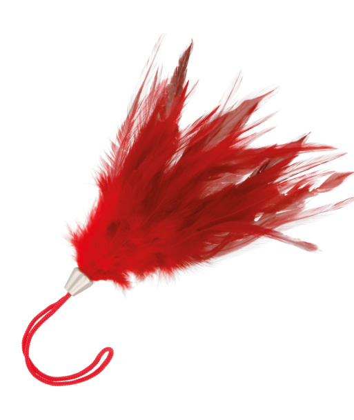 DARKNESS - PLUMA ESTIMULADORA ROJO 17CM DARKNESS - PLUMA ESTIMULADORA ROJO 17CM