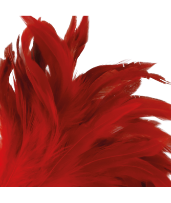DARKNESS - PLUMA ESTIMULADORA ROJO 24CM