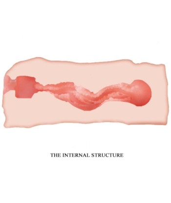 CRAZY BULL - JANE MASTURBADOR VAGINA 13.5 CM