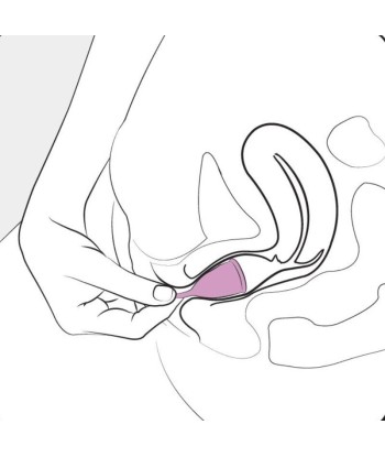 FEMINTIMATE - EVE COPA MENSTRUAL SILICONA - TALLA S