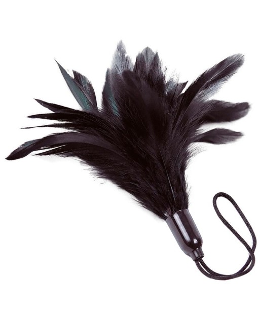ADRIEN LASTIC - PRESTIGE PLUMERO NEGRO ADRIEN LASTIC - PRESTIGE PLUMERO NEGRO