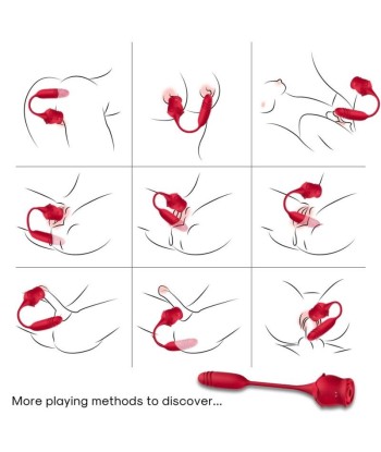 ARMONY - ROSEKNIGTH ONDAS ESTIMULADORAS CLÍTORIS and VIBRADOR ROJO